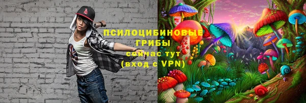 2c-b Верхнеуральск