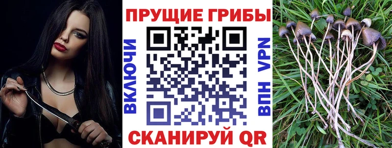 Псилоцибиновые грибы Magic Shrooms  Муром 